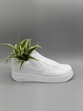 Sneaker Planter (Flower Pot) (3D Printed)