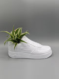 Sneaker Planter (Flower Pot) (3D Printed) - Hyped Art
